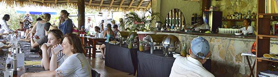 Pearl Islands Panama Whale Watching & Chapera Island Beach Break 7