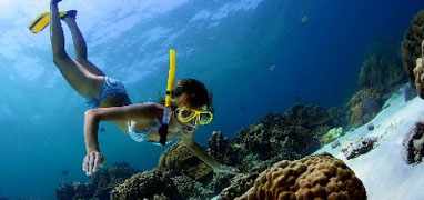 Caribbean Snorkel & Private Island