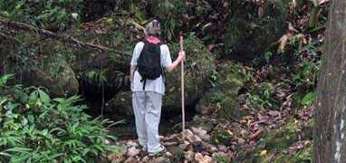 Hiking Metropolitan Natural Park Nature Trails