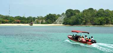 Pearl Islands Whale Watching & Chapera Beach Break
